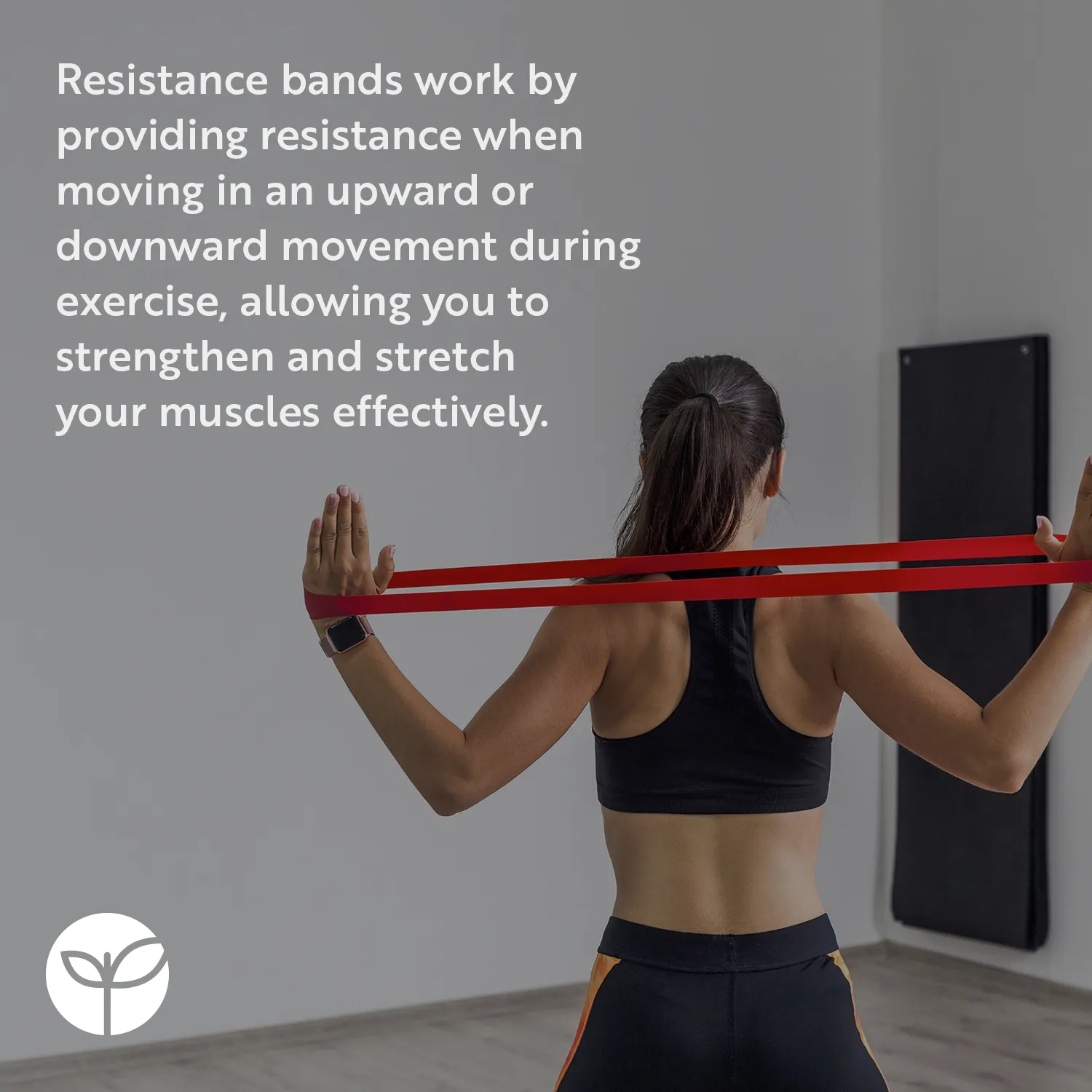 5 Mini Resistance Bands