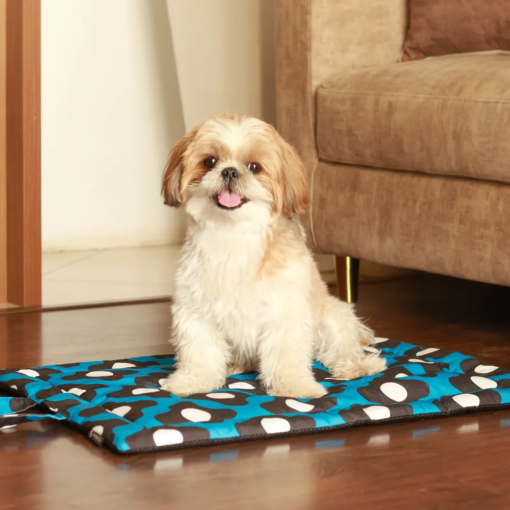 Blue Bliss Pet Mat