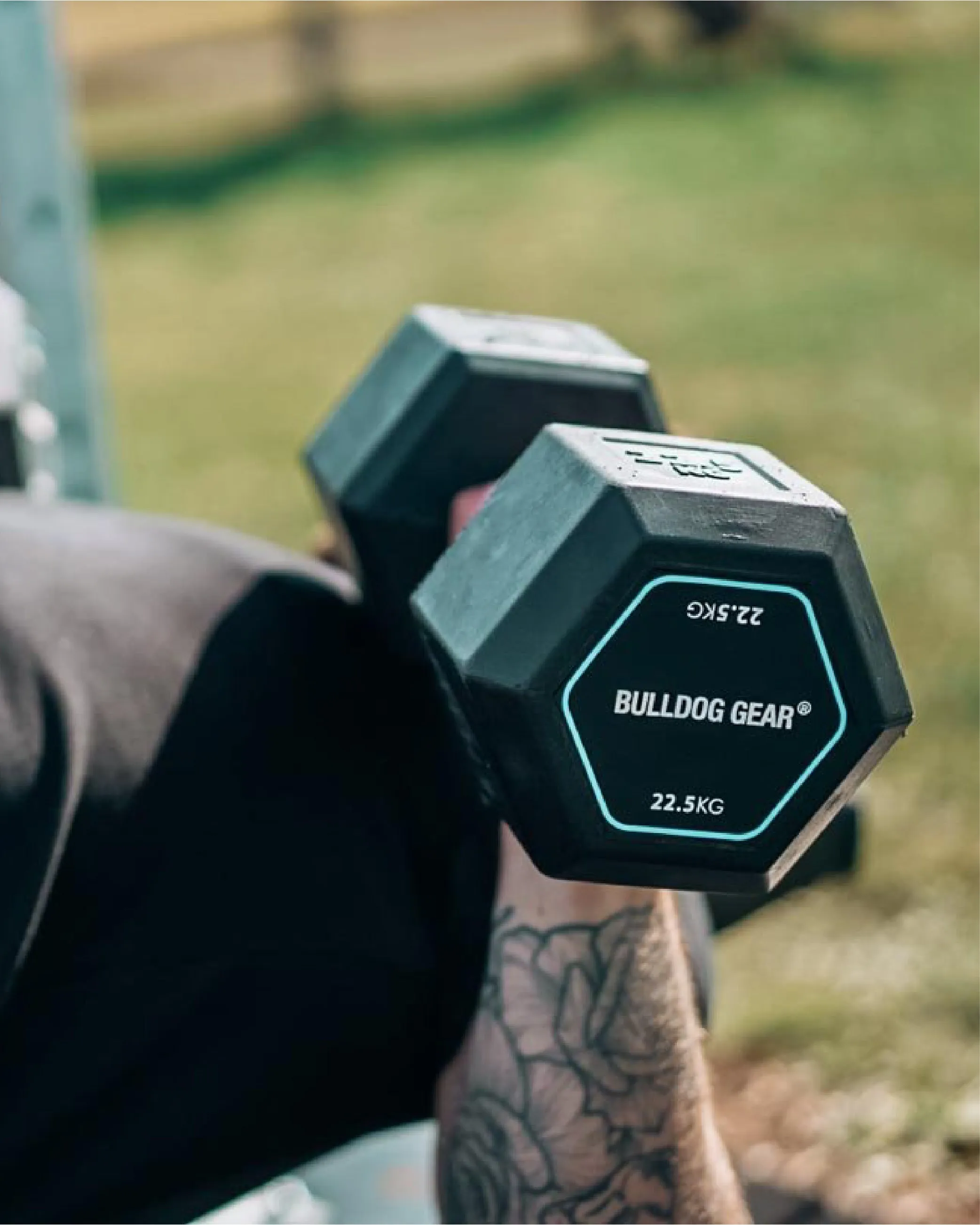 CLEARANCE - Hex Dumbbells 2.0