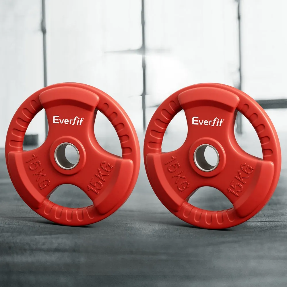 Heavy-Duty Cast Iron 15kgx2 Weight Plates with Triple Grip - Everfit