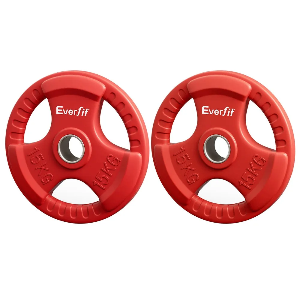 Heavy-Duty Cast Iron 15kgx2 Weight Plates with Triple Grip - Everfit