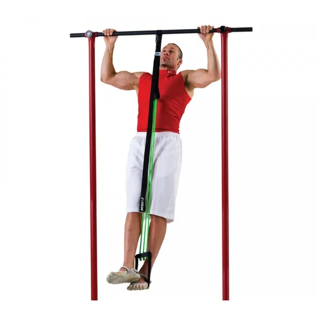 LifeLine Pull Up Revolution Pro