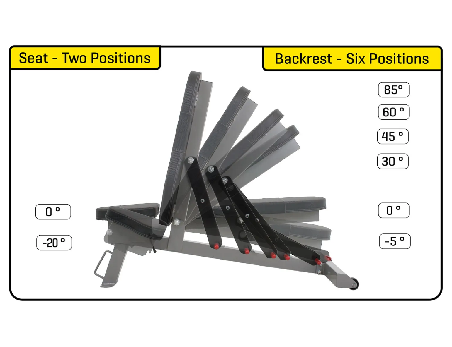 MX Select Adjustable Training Bench