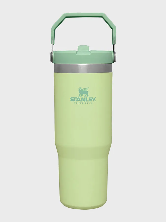 Stanley Ice Flow Flip Straw Tumbler Bottle (0.89L)