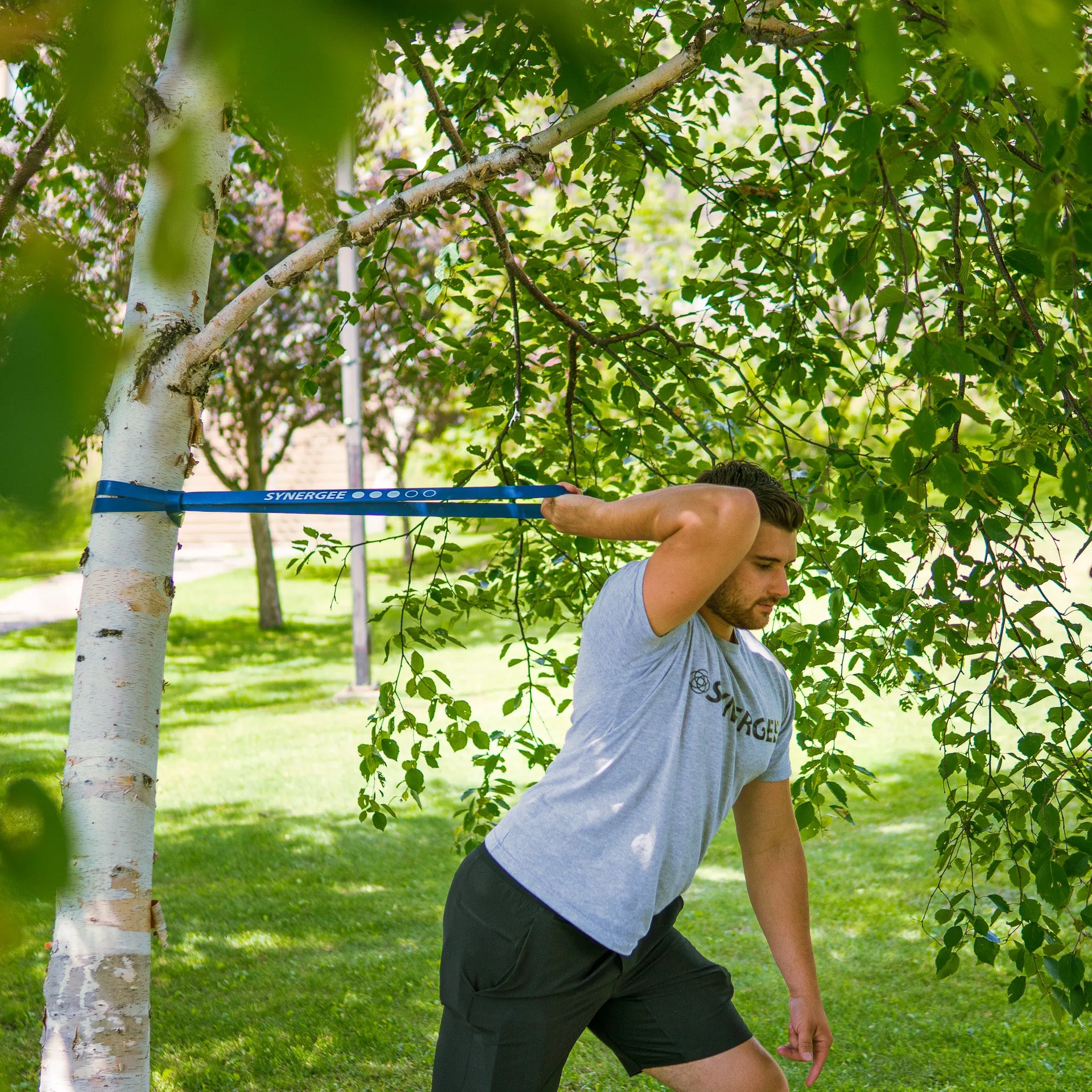 Synergee Resistance Power Bands